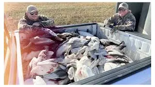Duck and Goose Hunting Alberta 2024