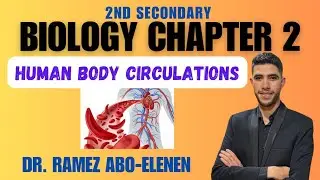 Blood Circulations Explanation Bio 2nd sec  (Chapter 2, last session)