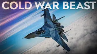 Su-27 Flanker CAP Mission Over Cold War Germany | DCS World | Digital Combat Simulator