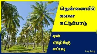 Coconut Weed Management,Intercropping,Glyposate,@agribabuji தென்னை களை கட்டுப்பாடு,#coconut_farming