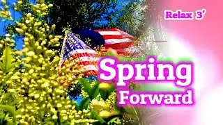 3 Minutes DST 2024 Spring Forward DIY @DIEUKHANHUSA