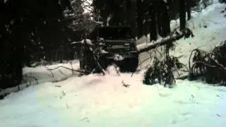 H&auml;gglungs Hellgeth im Schnee