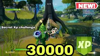 Fortnite Mistake Gonam Secret Xp Challenge | 30000 Xp Chaptar 2 Season 4