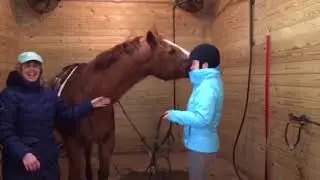 State Line Tack Gives Back To Unicorn Therapeutic Riding!