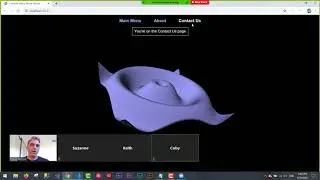 Rust Web Skunk Works - Initial Demo