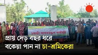 প্রভিডেন্ট ফান্ডের বকেয়া টাকার দাবিতে শ্রীমঙ্গলে চা&ndash;শ্রমিকদের প্রতিবাদ | Tea Workers Protest