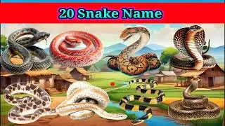 Snake Names in English | Learn 20 Snake Names with Pictures | Kids Learning Video
