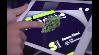 CannTrust VR/AR at Rec Brand Launch Party