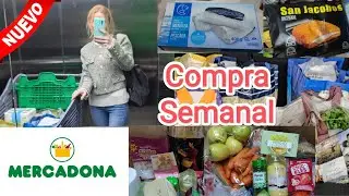 Mercadona 🛒 COMPRA Semanal ENERO 💶 PRECIOS 😲 Ideas RECETAS Rápidas 😉 Cómo AHORRAR en la COMPRA 2024💶