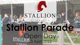 Stallion AI: День открытых дверей, Парад жеребцов 2022