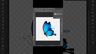 поддельный png-фон удалить фотошоп