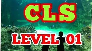 BSCLS  1  ka take a challenge