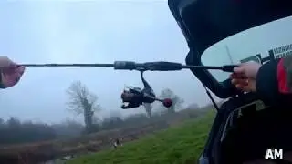 Perch - Pike fishing at Grand Canal 2019