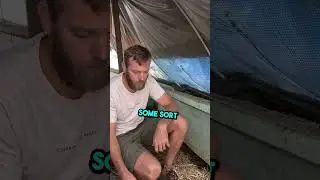My favorite bedding for young chicks