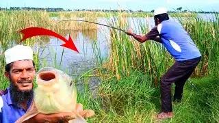 Hook fishing video🎣single hook big Rohu fish techniques catch | snakehead fis catch video 