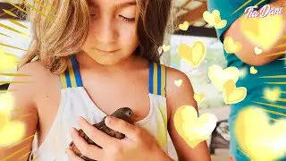 A PEQUENA ROLINHA