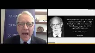 Building Brain-Friendly Organizations (shortened webinar)