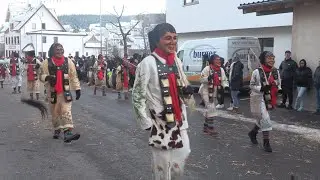 Fasnet, Narrentreffen in Schonach Teil3