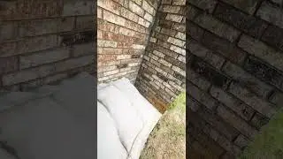 pov: You're a Pest Control Expert