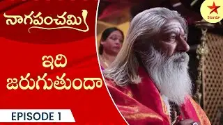 Naga Panchami - Episode 1 Highlight 4 | Telugu Serial | StarMaa Serials | Star Maa