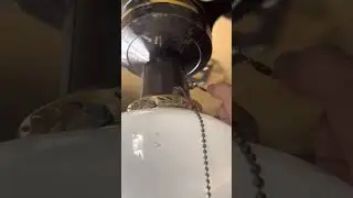 Evergo Spinner Ceiling Fan