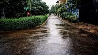 A Calm Daytime Walk in Light Rain | Peaceful Neighborhood