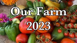 Texas Farm 2023 Year Review