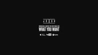 JBDK - What You Want (Fon$o Remix)