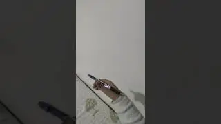 Pen Spinning - Birthday Freestyle