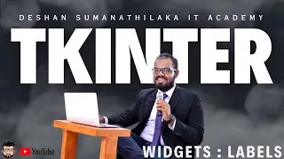 Tkinter Widgets : Label Video 2 | Creating UI with Python | Sinhala