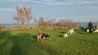 Dominant of onzeker? Of misschien allebei?