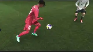 Broken ankkles by the Northern Ireland goalkeeper Pierce Charles