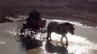 FourWinds Ranch and Arena Carriage Driving