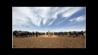 Marfrig&nbsp;compra fatia da National&nbsp;Beef e se torna 2&ordf; maior&nbsp;empresa de carne no mundo