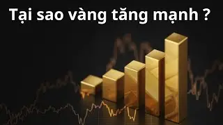 Tại sao giá vàng tăng mạnh đầu năm 2025