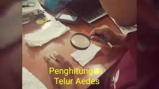 Survei Telur Aedes dengan Ovitrap