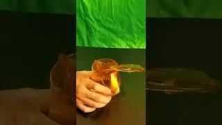 slow motion effect video #water #slowmotion #youtubeshorts #asmr