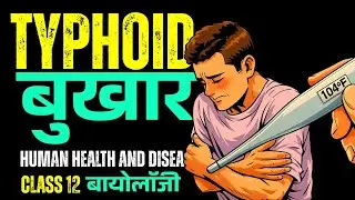 Typhoid Fever : Symptoms and Treatment | Human Health and Diseases Class 12 Biology 