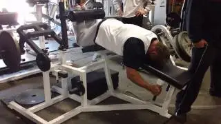 elitefts.com &mdash; John Meadows Leg Curls - Extended Set