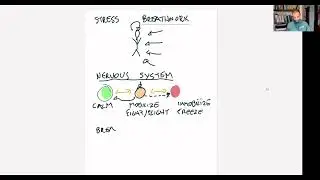 Ep.5 - Nervous System Regulation: Stress Management & Breath Work