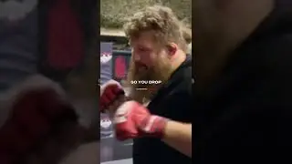 Joe Rogan On What Roy Nelson What Could've Been 👊