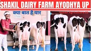कैसी गाय चाहिए आपको ? आइए ! शकील डेयरी फार्म सोहावल अयोध्या यूपी