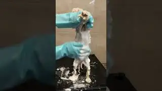 перчатка для чистки и массажа душа🧤