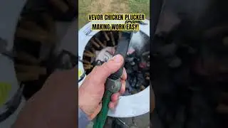 VEVOR CHICKEN PLUCKER, MAKING WORK EASY!
