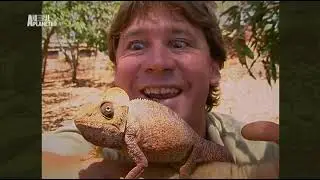 The Crocodile Hunter - Best Of Steve Irwin - S01 E04
