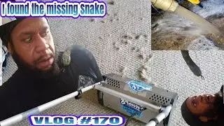 HOLY MOLY! Snake in my face😱 Cleaning a Browns Town Vets 20 year old Carpet |CC vlog Episode 170