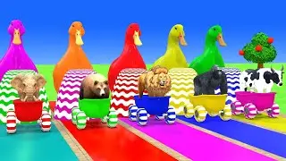 5giantduck With Elephant Bear Lion Gorilla Cow Hippopotamus 3danimal funny3danimal 