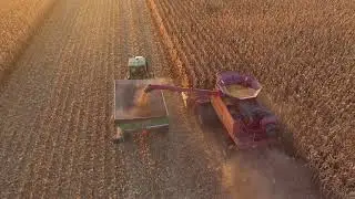 Iowa Corn Harvest 2022