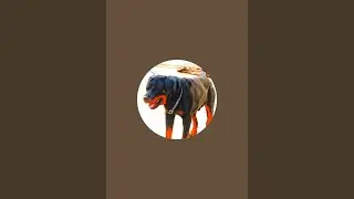 The Rott Sultan is live!