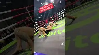 Róka vs Bandi arbito